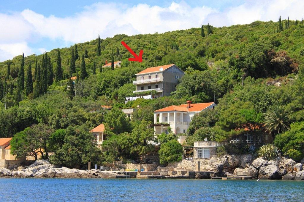 Antunovic Apartment Molunat