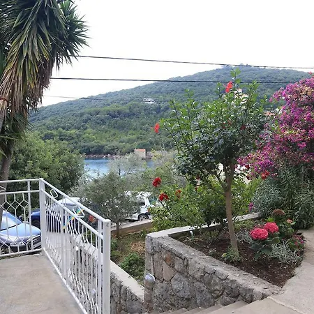 Apartments Antunovic Molunat Exterior photo