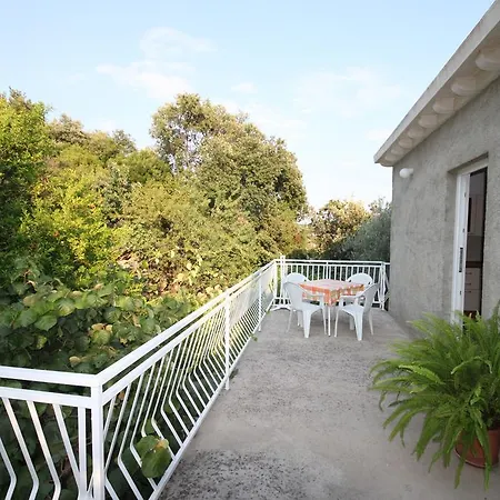 Apartments Antunovic Molunat Exterior photo